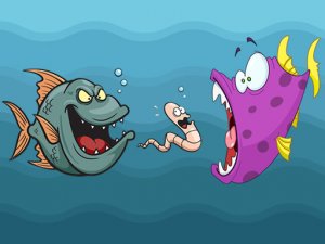 Angry Fish Coloring Online Game