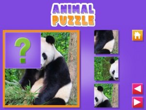 Animal Puzzle Online Game