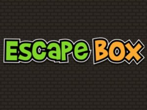Escape Box Online Game