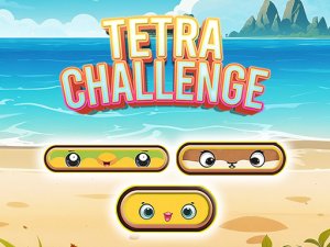 Tetra Challenge Puzzle Game