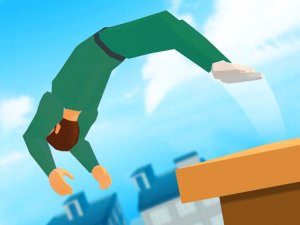 Crazy Backflip 3D Online Game