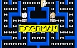 Doge-Man: The Doge Maze Adventure