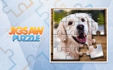 Jigsaw Puzzle Game: Animal & World
